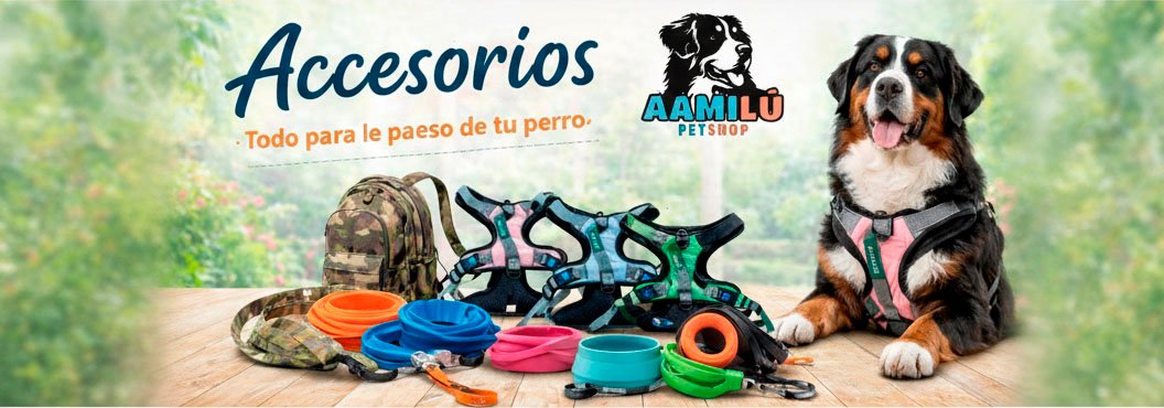 Banner Accesorios Aamilú